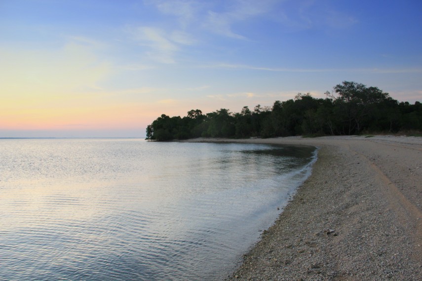 pantai baluran
