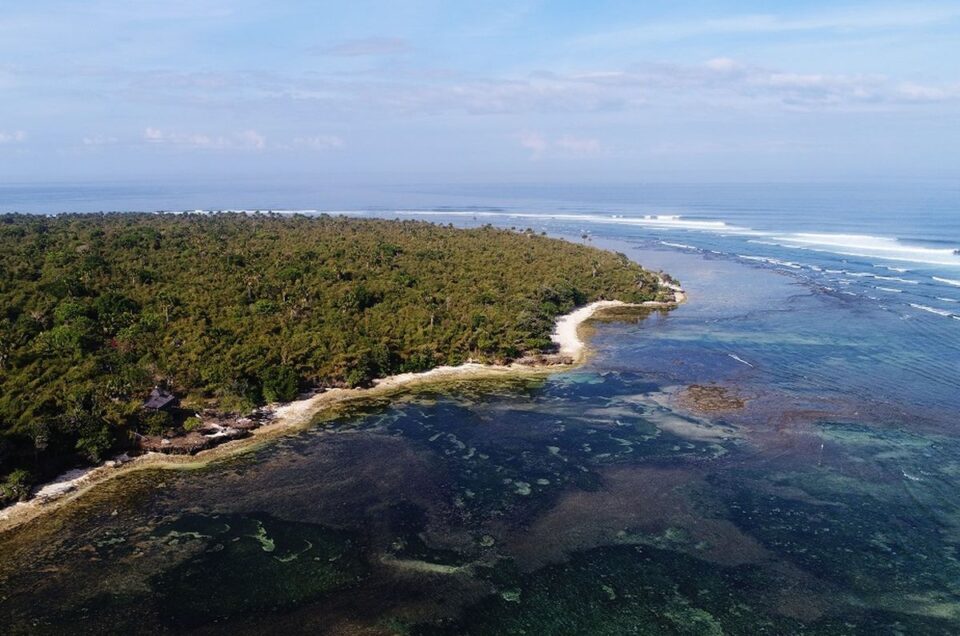 Ini Alasan Pantai Plengkung Disebut Surganya Para Peselancar!