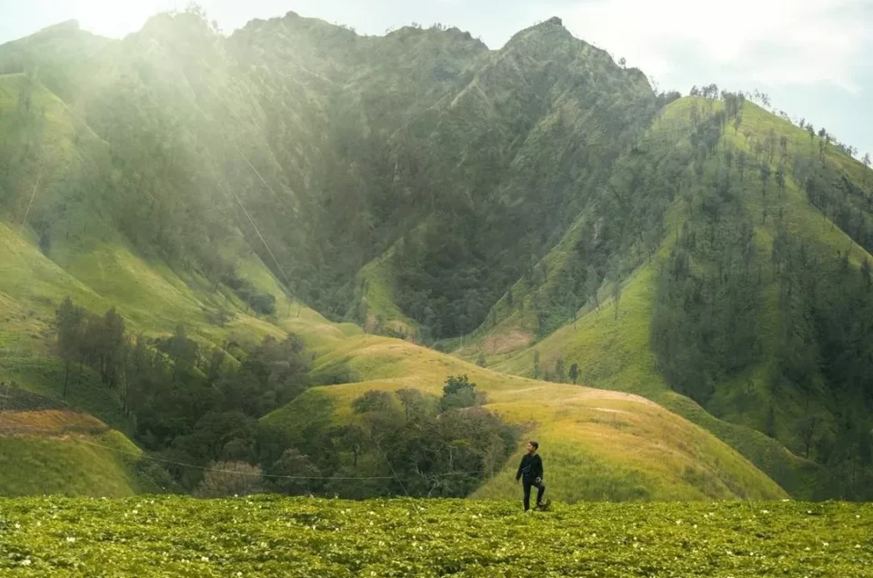 Kenapa Kawah Wurung Banyuwangi Disebut “Miniatur Swiss”?