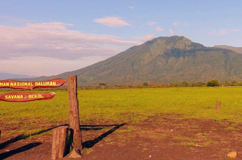 Inilah Kenapa Taman Nasional Baluran Destinasi Terbaik di Jawa!!