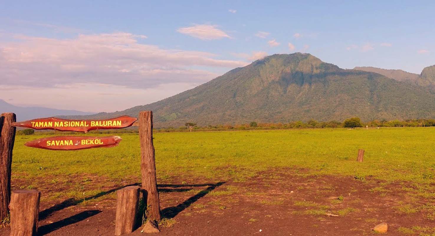 Inilah Kenapa Taman Nasional Baluran Destinasi Terbaik di Jawa!!