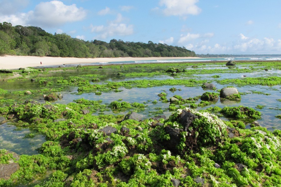 Rahasia Keindahan Pantai Parang Ireng yang Tersembunyi!